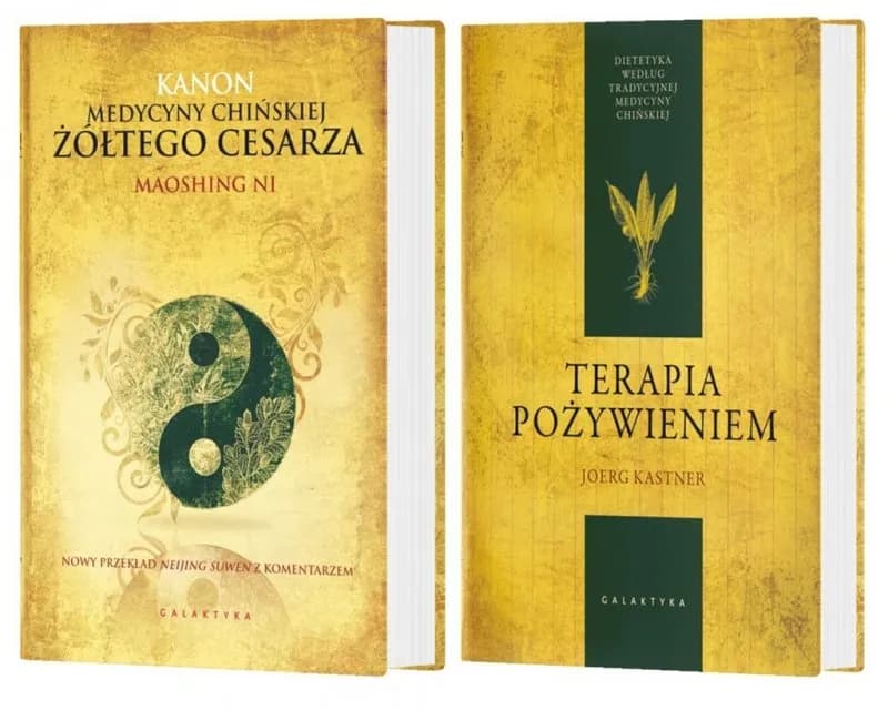 Tradycyjna medycyna chińska książka – klucz do zdrowia i uzdrowienia Tradycyjna medycyna chińska książka – klucz do zdrowia i uzdrowienia