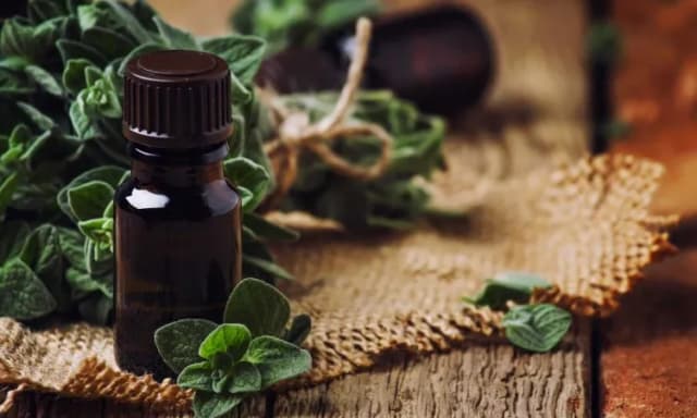 Olejek z oregano na co? Odkryj jego niesamowite właściwości zdrowotne Olejek z oregano na co? Odkryj jego niesamowite właściwości zdrowotne